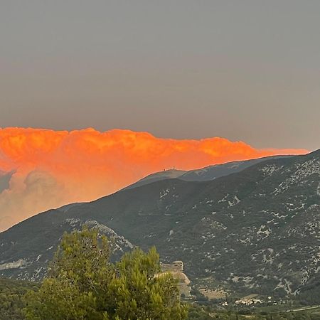 Les Terrasses Du Ventoux Apartamento Mollans-sur-Ouvèze Exterior foto